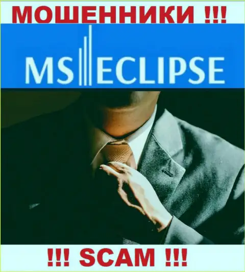 Данных о лицах, которые руководят MS Eclipse во всемирной интернет паутине найти не удалось