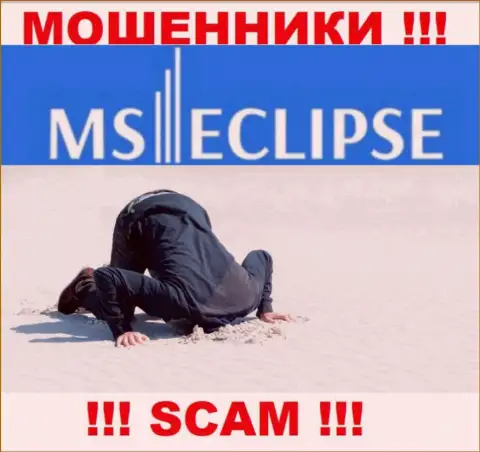 С MSEclipse довольно-таки рискованно совместно работать, т.к. у компании нет лицензионного документа и регулятора