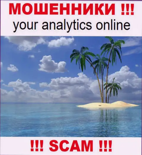Your Analytics спрятали адрес регистрации, где зарегистрирована организация - это явно интернет-мошенники !!!